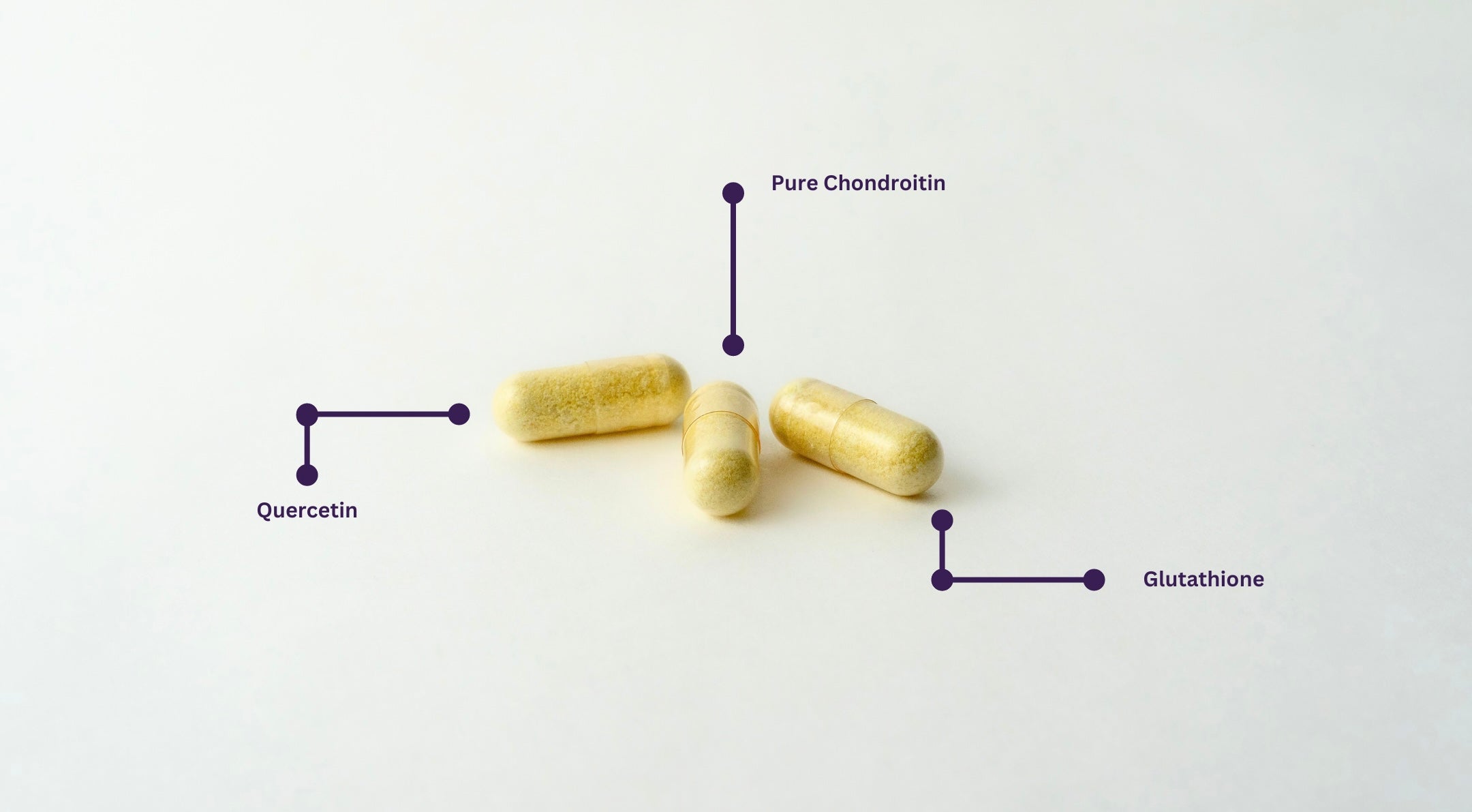 Fenix Relief Pure Chondroitin